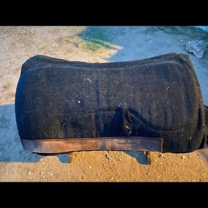 Classic equine saddle pad